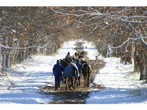 325 ha Farm in Mooi River