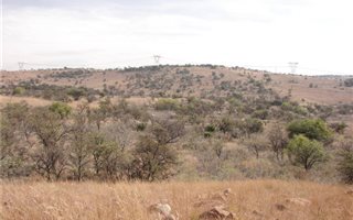 54 ha Farm in Boschkop