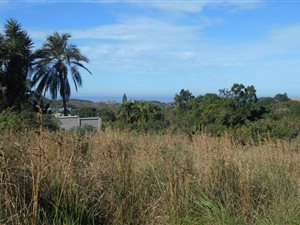 1249 m² Land available in Kei Mouth