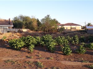 992 m² Land available in Waldrift