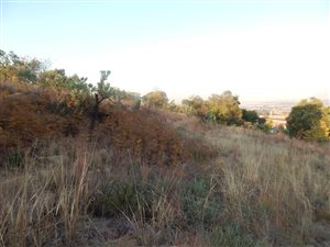 52 ha Land available in Heidelberg Central