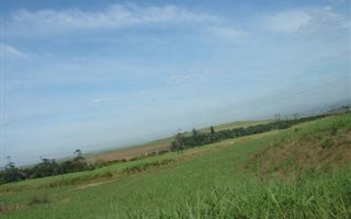 114 ha Land available in Tongaat Central