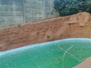 3 Bed House in St Winifreds
