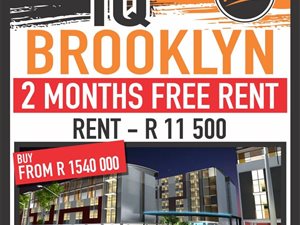 2 Bedroom Apartment in Brooklyn