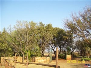 Farm in Rayton