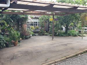 3 Bed House in Howick