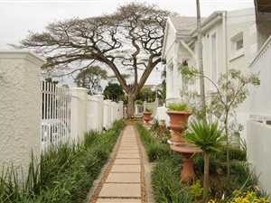 223 m² Commercial space in Morningside