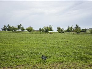 817 m² Land available in St Johns Village