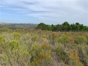 797 m² Land available in Baron View
