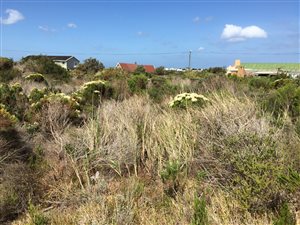 1099 m² Land available in Bettys Bay