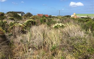 1099 m² Land available in Bettys Bay