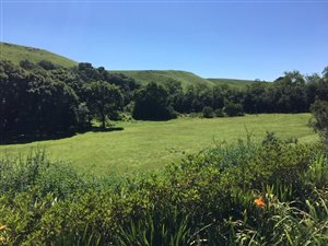 18.5 ha Smallholding in Balgowan