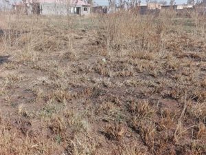 319 m² Land available in Kwa Thema