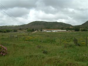 400 ha Farm in Albertinia