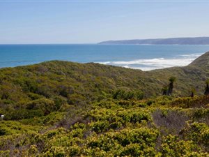 1372 m² Land available in Wilderness