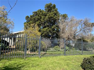 4 Bed House in Van Riebeeck Park