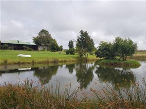 118 ha Farm in Dullstroom