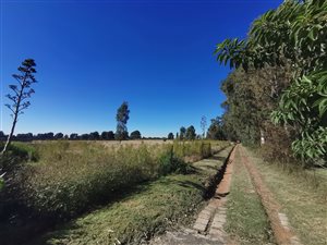 4.4 ha Farm in Randfontein