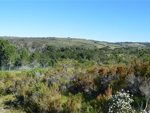 1583 m² Land available in Brackenridge