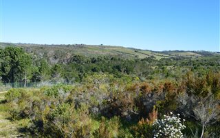 1583 m² Land available in Brackenridge
