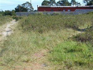 501 m² Land available in Humansdorp