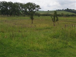 9576 m² Land available in Mooi River