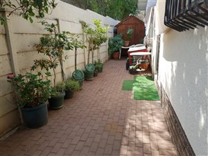 1 Bed Garden Cottage in Bordeaux