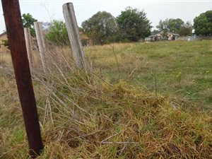 1240 m² Land available in Arbor Park