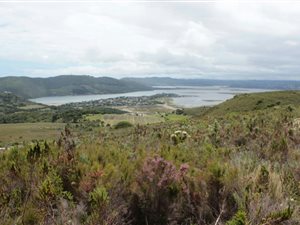 978 m² Land available in Fernwood