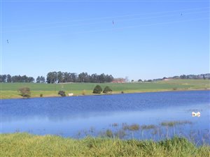 150 ha Farm in Mooi River