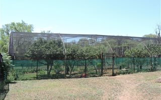 15 ha Farm in Zeerust