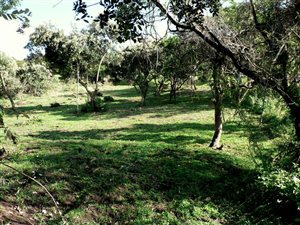 789 m² Land available in Chintsa East