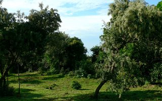789 m² Land available in Chintsa East