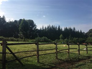 8 ha Farm in Howick