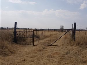 8 ha Farm in Wilgeboom