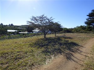 1770 m² Land available in Bathurst and Surrounds