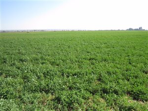 136 ha Farm in Hartswater