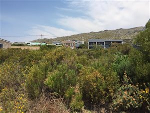 600 m² Land available in Pringle Bay