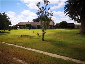 137 ha Farm in Bainsvlei