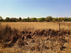 1 ha Land available in Randjesfontein
