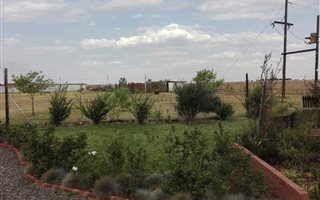 1.7 ha Farm in Koster