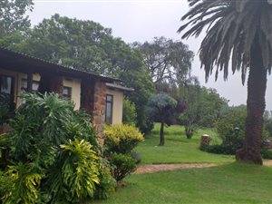 159.5 ha Farm in Roossenekal