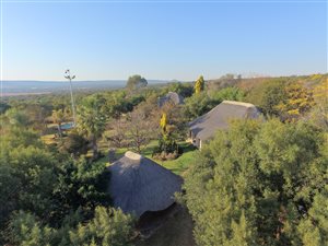 8 ha Farm in Koster