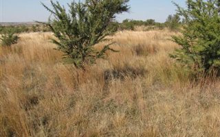 4.3 ha Land available in Boschkop