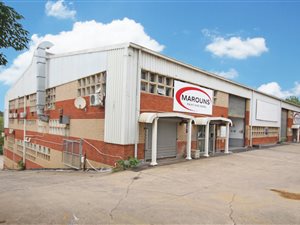 1609 m² Commercial space in Bonela