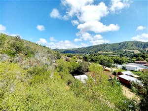 4 Bed House in Wittedrift