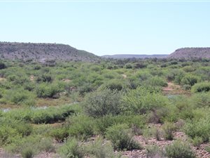 10538 ha Farm in Upington
