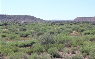 10538 ha Farm in Upington