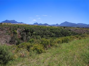 975 m² Land available in Welgelegen Estate