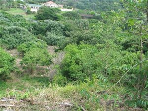 1101 m² Land available in Zinkwazi Beach